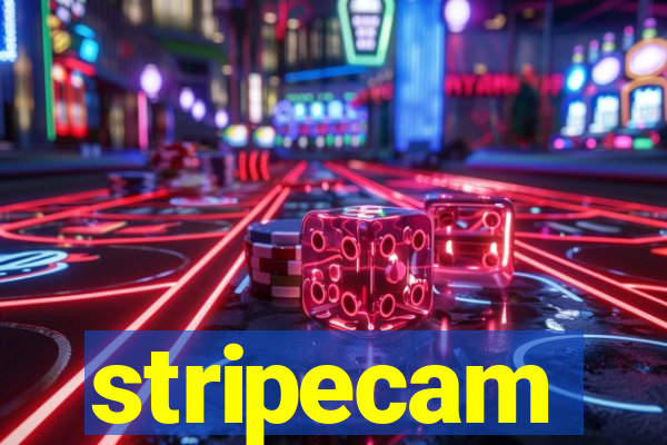 stripecam