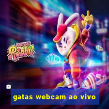 gatas webcam ao vivo