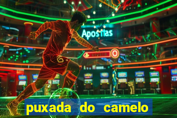 puxada do camelo no jogo do bicho