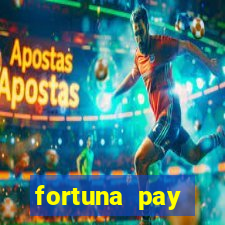 fortuna pay consultoria financeira ltda