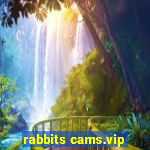 rabbits cams.vip