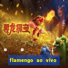 flamengo ao vivo multi tv