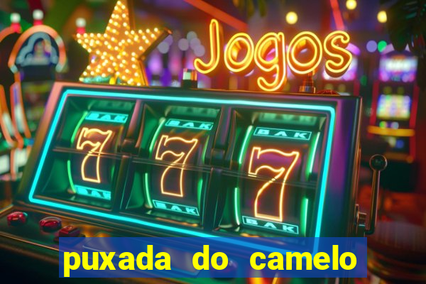 puxada do camelo jogo do bicho