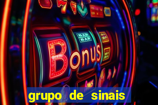 grupo de sinais fortune rabbit