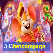 313betcompaga